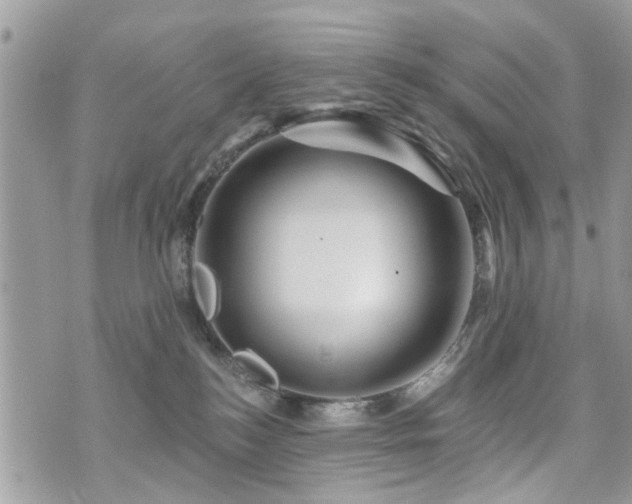 X0000073910184200608111206