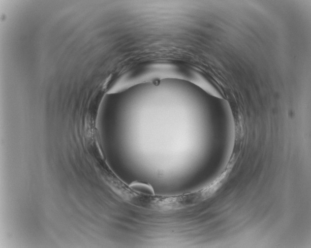 X0000073910186200608111206