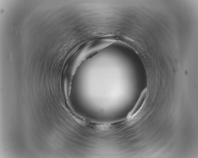 X0000073910192200608111207