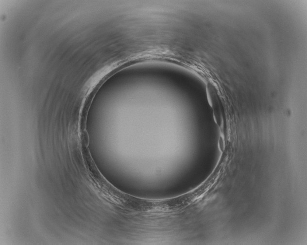 X0000073910196200608111206