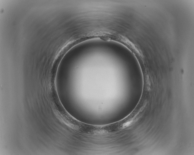 X0000073910203200608111206