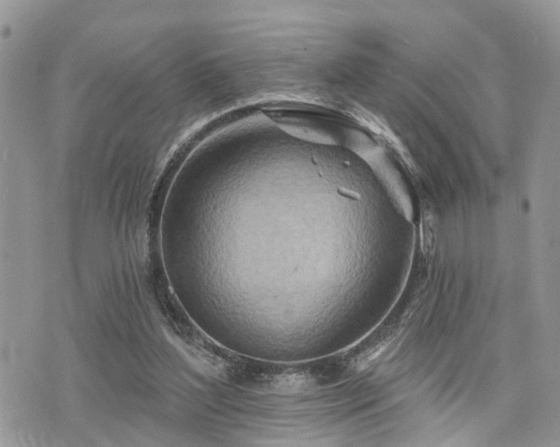 X0000073910204200608111206