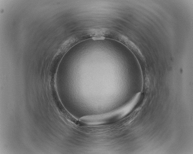 X0000073910209200608111206