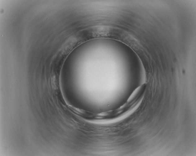 X0000073910224200608111205