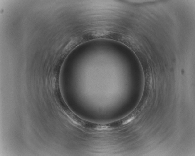 X0000073910227200608111205