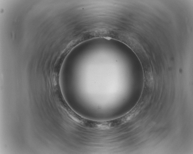 X0000073910232200608111205