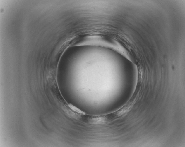 X0000073910237200608111205