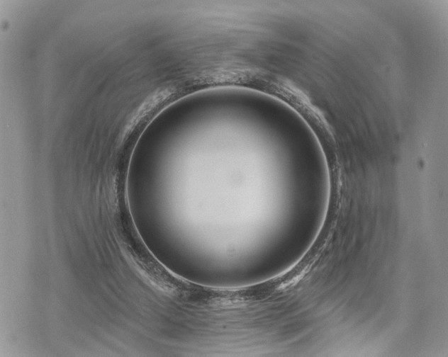 X0000073910250200608111204