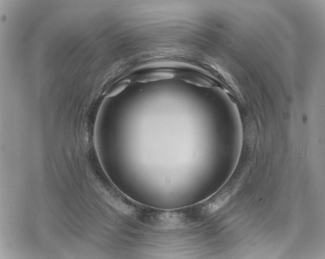 X0000073910261200608111205