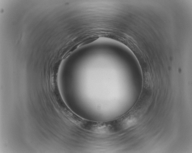 X0000073910267200608111205