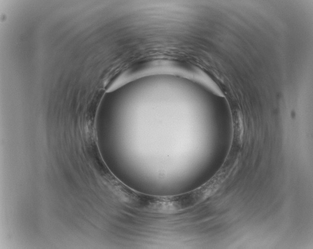 X0000073910276200608111205