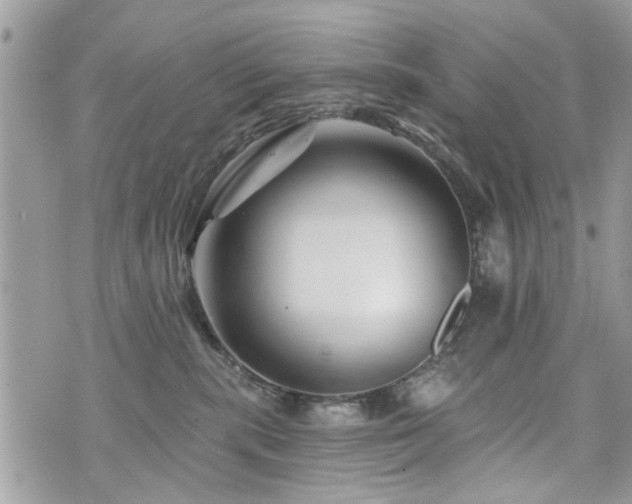 X0000073910283200608111205