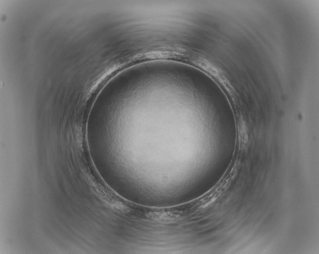 X0000073910297200608111204