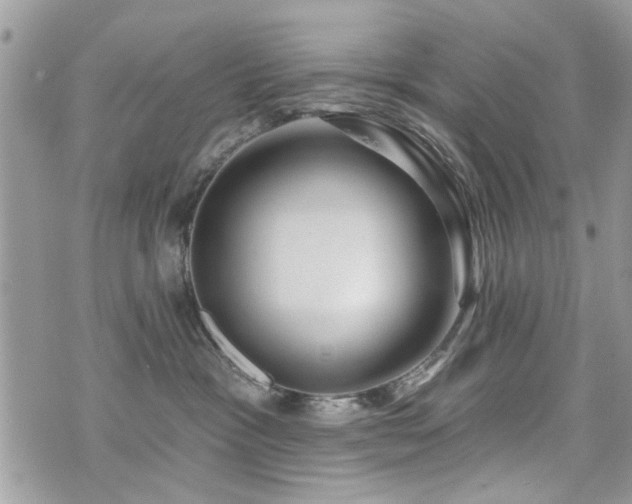 X0000073910333200608111203