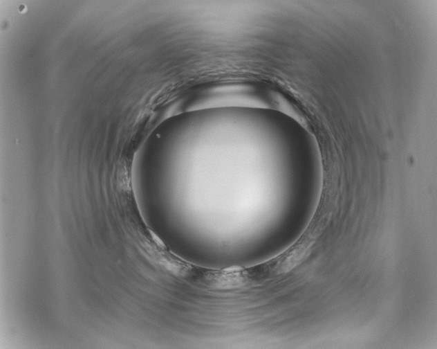 X0000073910384200608111203