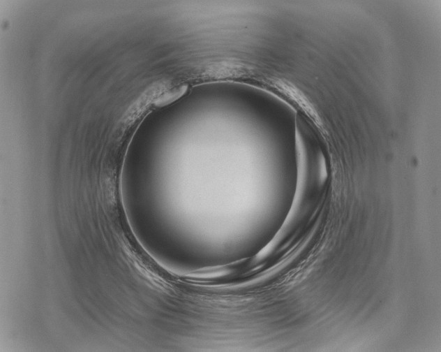 X0000073910393200608111202