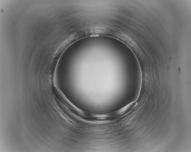 X0000073910401200608111202