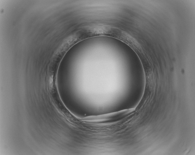 X0000073910406200608111202