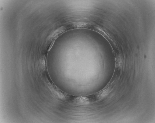 X0000073910427200608111202