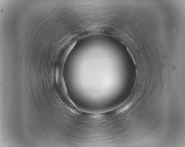 X0000073910432200608111202
