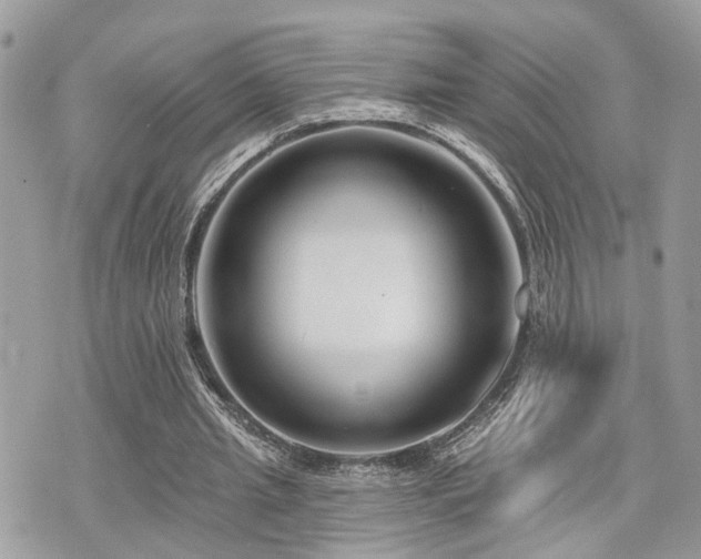 X0000073910437200608111201