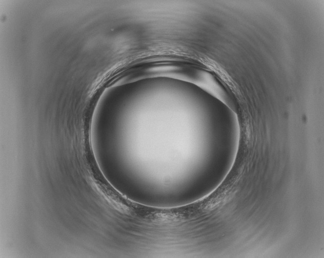 X0000073910442200608111201
