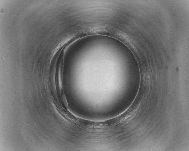 X0000073910443200608111201