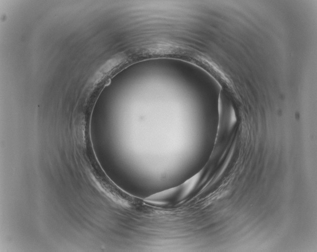 X0000073910446200608111201