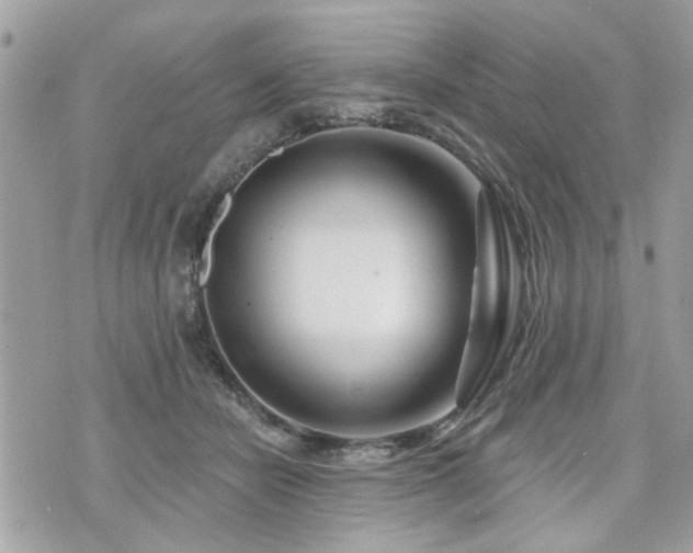 X0000073910462200608111202