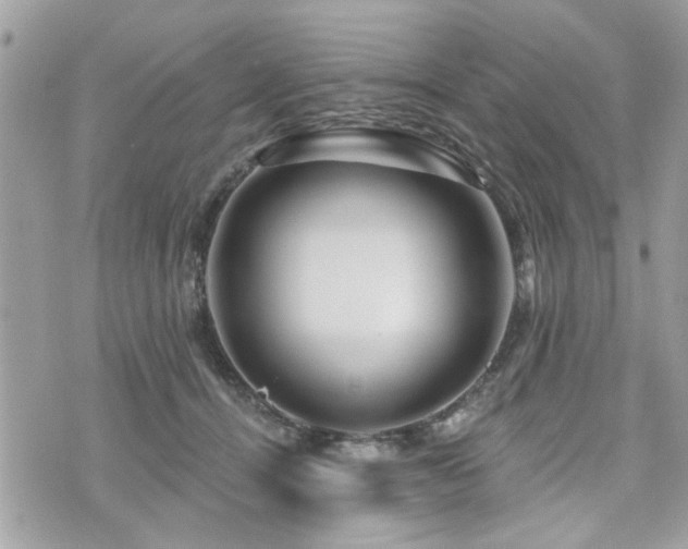 X0000073910464200608111202