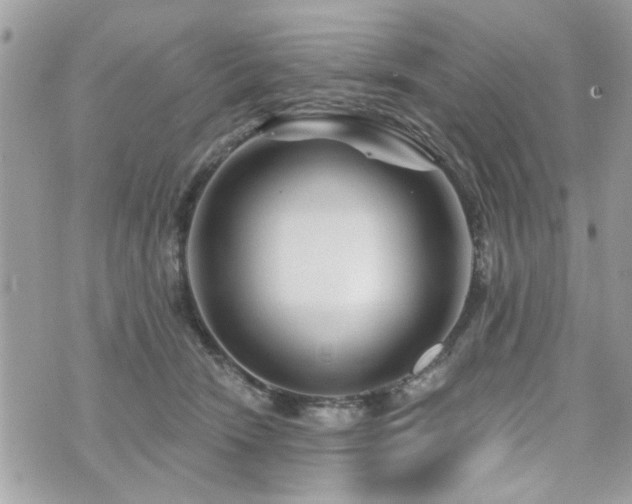 X0000073910466200608111202