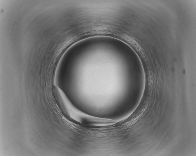 X0000073910481200608111201