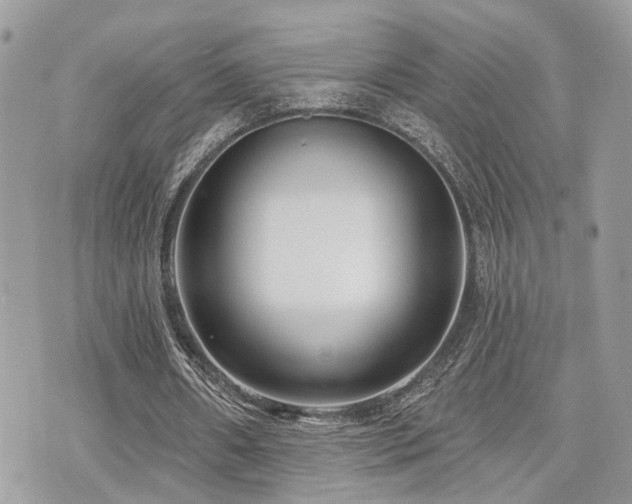X0000073910482200608111201