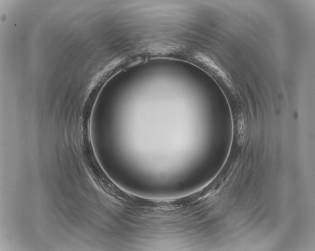 X0000073910492200608111201
