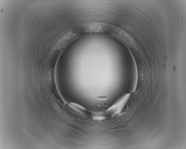 X0000073910551200608111200