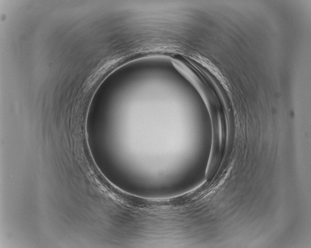X0000073910577200608111200