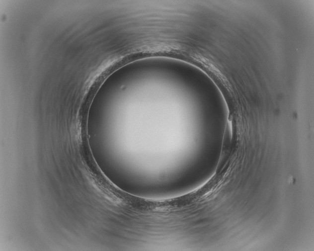 X0000073910584200608111159