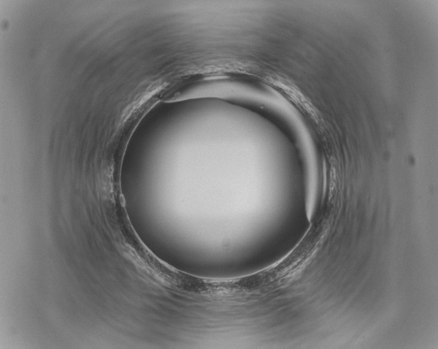 X0000073910585200608111159