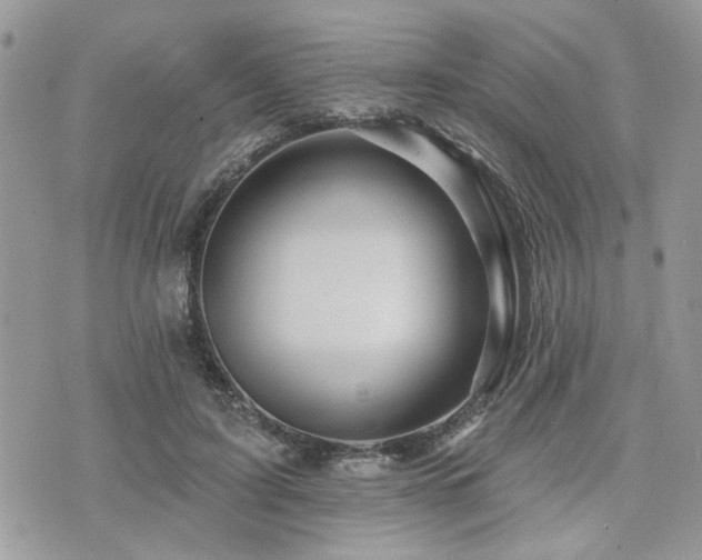 X0000073910595200608111159