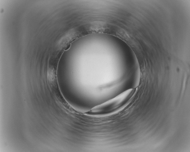 X0000073910623200608111159