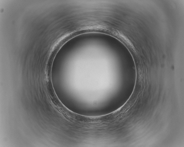 X0000073910628200608111158