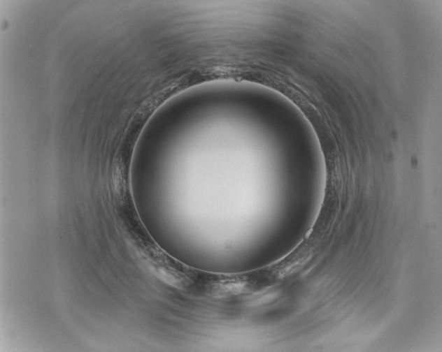 X0000073910651200608111158
