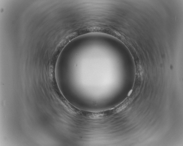 X0000073910664200608111159