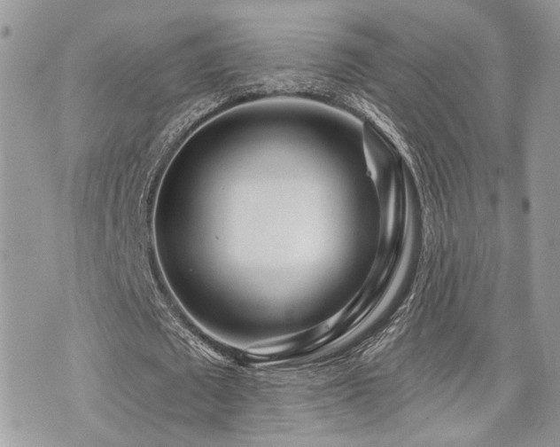 X0000073910673200608111158