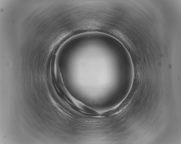 X0000073910677200608111158