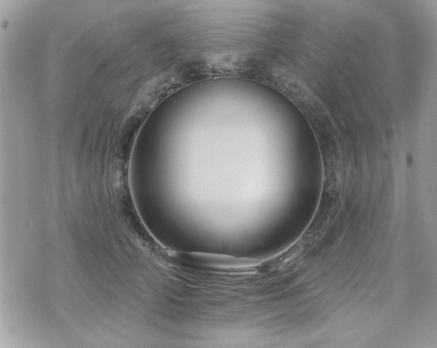 X0000073910706200608111157