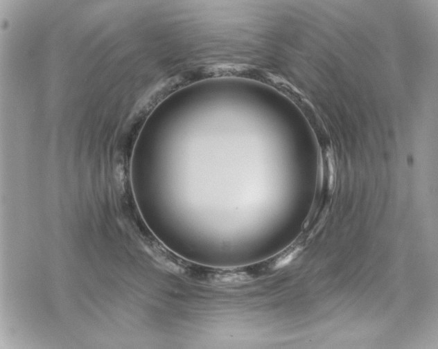 X0000073910716200608111157