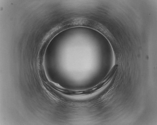 X0000073910722200608111156