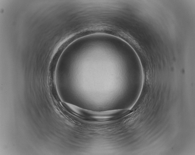 X0000073910724200608111156