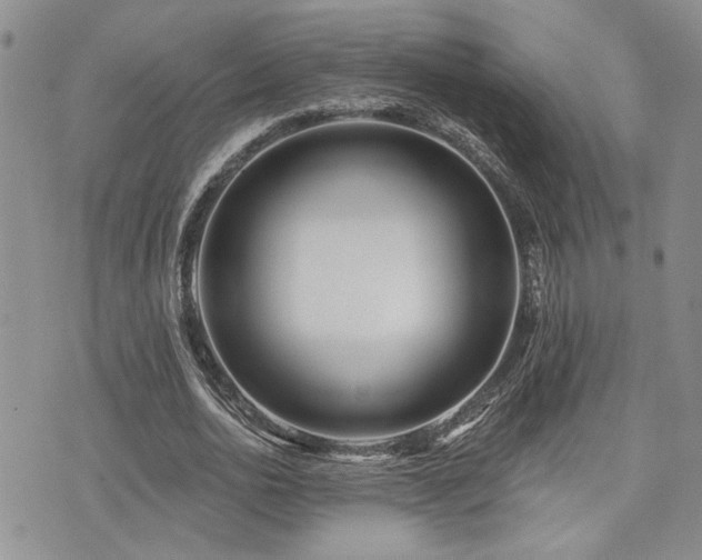 X0000073910726200608111156